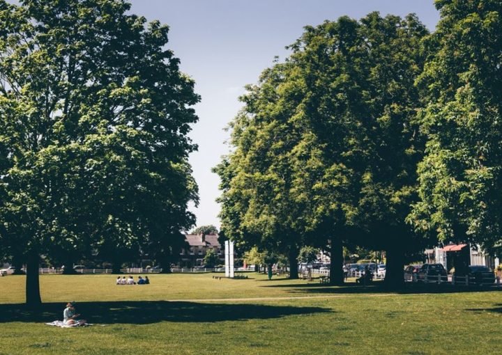 5- Twickenham Green